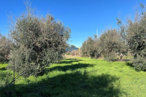 Farm hus i Escalos de Cima e Lousa, Castelo Branco, Escalos de Cima e Lousa - € 60.000 | Ref: 124124 - foto 9