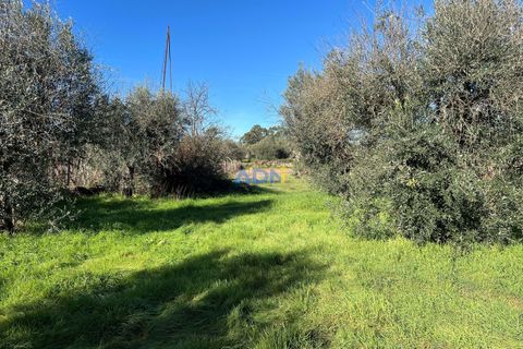 Farm hus i Escalos de Cima e Lousa, Castelo Branco, Escalos de Cima e Lousa - € 60.000 | Ref: 124124 - foto 10