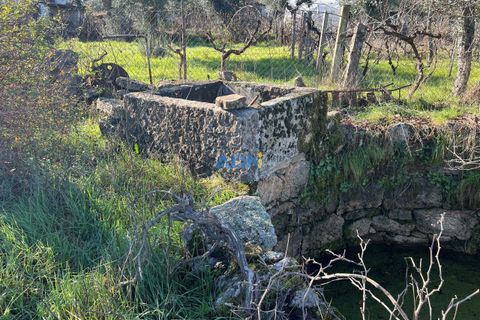 Farm hus i Escalos de Cima e Lousa, Castelo Branco, Escalos de Cima e Lousa - € 60.000 | Ref: 124124 - foto 12