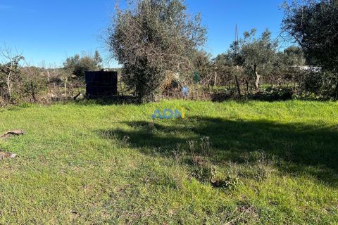 Farm hus i Escalos de Cima e Lousa, Castelo Branco, Escalos de Cima e Lousa - € 60.000 | Ref: 124124 - foto 15