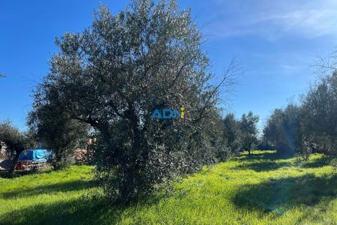 Farm hus i Escalos de Cima e Lousa, Castelo Branco, Escalos de Cima e Lousa - € 60.000 | Ref: 124124 - foto 16