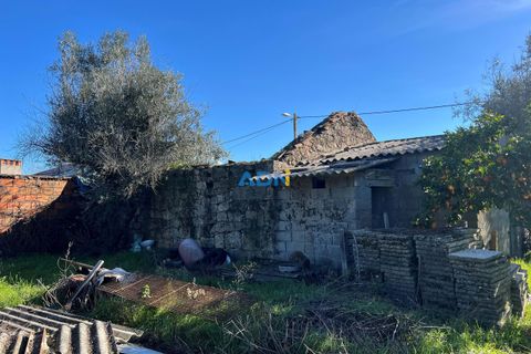 Farm hus i Escalos de Cima e Lousa, Castelo Branco, Escalos de Cima e Lousa - € 60.000 | Ref: 124124 - foto 17