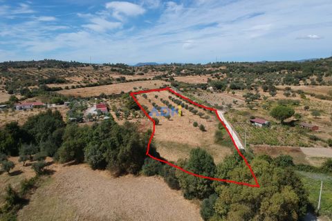 Helårsgrund i Castelo Branco, Castelo Branco, Castelo Branco - € 22.000 | Ref: 125092 - foto 2