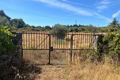 Helårsgrund i Castelo Branco, Castelo Branco, Castelo Branco - € 22.000 | Ref: 125092 - foto 3