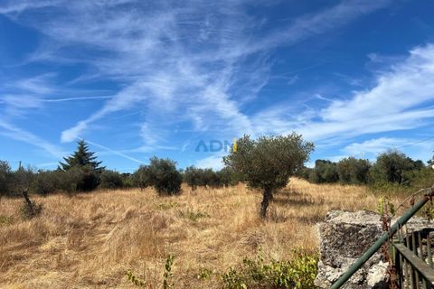 Helårsgrund i Castelo Branco, Castelo Branco, Castelo Branco - € 22.000 | Ref: 125092 - foto 4