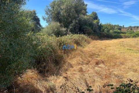 Helårsgrund i Castelo Branco, Castelo Branco, Castelo Branco - € 22.000 | Ref: 125092 - foto 5
