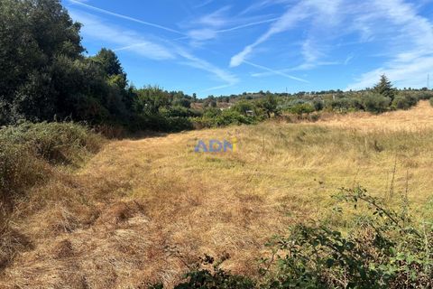 Helårsgrund i Castelo Branco, Castelo Branco, Castelo Branco - € 22.000 | Ref: 125092 - foto 6