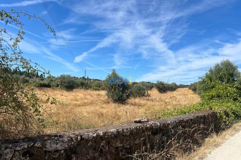 Helårsgrund i Castelo Branco, Castelo Branco, Castelo Branco - € 22.000 | Ref: 125092 - foto 7