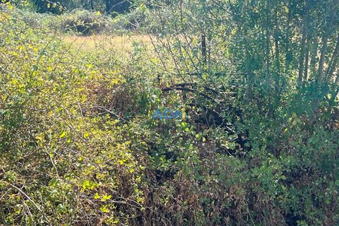 Helårsgrund i Castelo Branco, Castelo Branco, Castelo Branco - € 22.000 | Ref: 125092 - foto 8