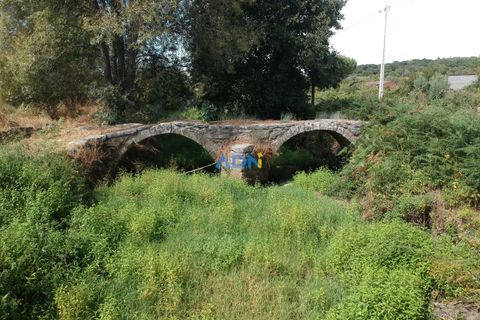 Helårsgrund i Castelo Branco, Castelo Branco, Castelo Branco - € 22.000 | Ref: 125092 - foto 9