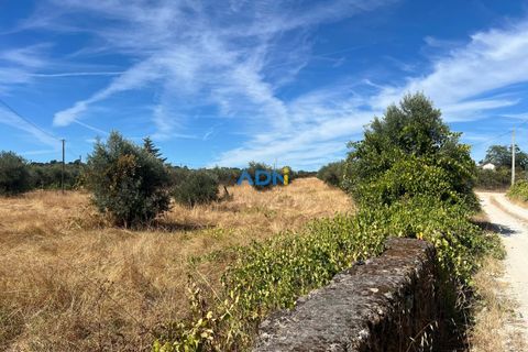Helårsgrund i Castelo Branco, Castelo Branco, Castelo Branco - € 22.000 | Ref: 125092 - foto 12