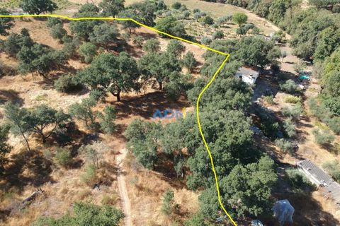 Helårsgrund i Castelo Branco, Castelo Branco, Castelo Branco - € 32.000 | Ref: 125093 - foto 1