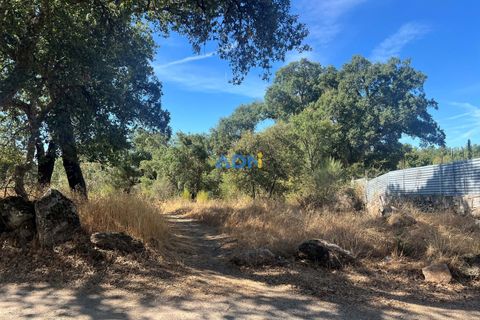 Helårsgrund i Castelo Branco, Castelo Branco, Castelo Branco - € 32.000 | Ref: 125093 - foto 2