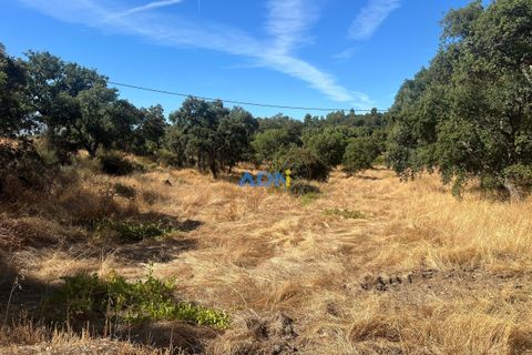 Helårsgrund i Castelo Branco, Castelo Branco, Castelo Branco - € 32.000 | Ref: 125093 - foto 4