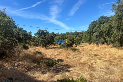 Helårsgrund i Castelo Branco, Castelo Branco, Castelo Branco - € 32.000 | Ref: 125093 - foto 5