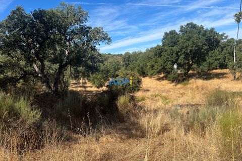 Helårsgrund i Castelo Branco, Castelo Branco, Castelo Branco - € 32.000 | Ref: 125093 - foto 7