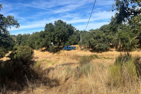 Helårsgrund i Castelo Branco, Castelo Branco, Castelo Branco - € 32.000 | Ref: 125093 - foto 8