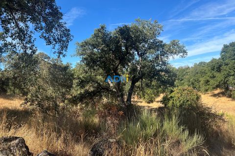Helårsgrund i Castelo Branco, Castelo Branco, Castelo Branco - € 32.000 | Ref: 125093 - foto 9