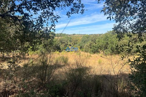 Helårsgrund i Castelo Branco, Castelo Branco, Castelo Branco - € 32.000 | Ref: 125093 - foto 15