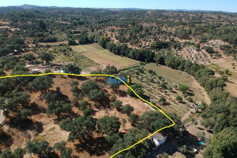 Helårsgrund i Castelo Branco, Castelo Branco, Castelo Branco - € 32.000 | Ref: 125093 - foto 16