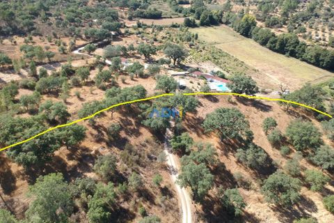 Helårsgrund i Castelo Branco, Castelo Branco, Castelo Branco - € 32.000 | Ref: 125093 - foto 17