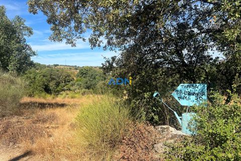Helårsgrund i Castelo Branco, Castelo Branco, Castelo Branco - € 32.000 | Ref: 125093 - foto 18