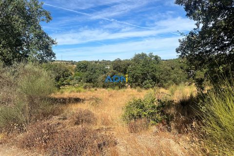 Helårsgrund i Castelo Branco, Castelo Branco, Castelo Branco - € 32.000 | Ref: 125093 - foto 19