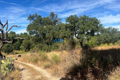 Helårsgrund i Castelo Branco, Castelo Branco, Castelo Branco - € 32.000 | Ref: 125093 - foto 20