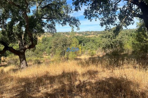 Helårsgrund i Castelo Branco, Castelo Branco, Castelo Branco - € 32.000 | Ref: 125093 - foto 24