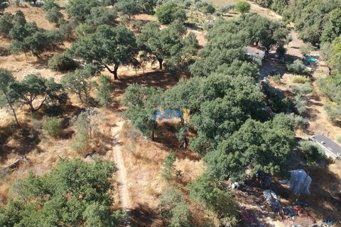 Helårsgrund i Castelo Branco, Castelo Branco, Castelo Branco - € 32.000 | Ref: 125093 - foto 26