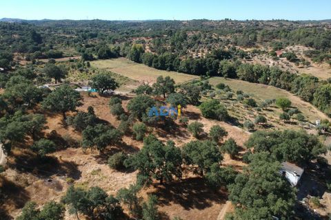 Helårsgrund i Castelo Branco, Castelo Branco, Castelo Branco - € 32.000 | Ref: 125093 - foto 27