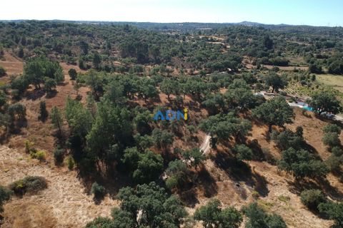 Helårsgrund i Castelo Branco, Castelo Branco, Castelo Branco - € 32.000 | Ref: 125093 - foto 28