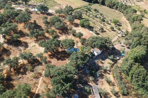 Helårsgrund i Castelo Branco, Castelo Branco, Castelo Branco - € 32.000 | Ref: 125093 - foto 31