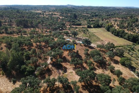 Helårsgrund i Castelo Branco, Castelo Branco, Castelo Branco - € 32.000 | Ref: 125093 - foto 32