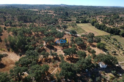 Helårsgrund i Castelo Branco, Castelo Branco, Castelo Branco - € 32.000 | Ref: 125093 - foto 33