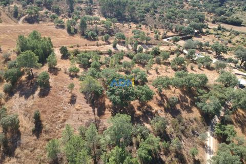 Helårsgrund i Castelo Branco, Castelo Branco, Castelo Branco - € 32.000 | Ref: 125093 - foto 34