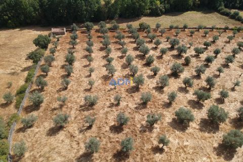 Farm hus i Castelo Branco, Castelo Branco, Castelo Branco - € 27.000 | Ref: 125094 - foto 3
