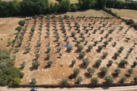 Farm hus i Castelo Branco, Castelo Branco, Castelo Branco - € 27.000 | Ref: 125094 - foto 5