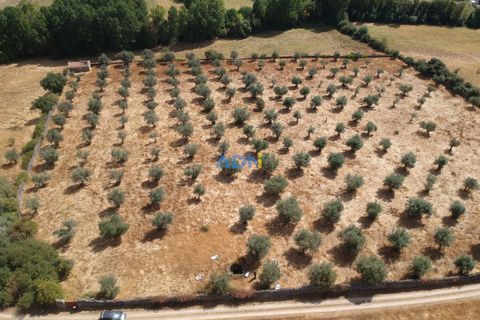 Farm hus i Castelo Branco, Castelo Branco, Castelo Branco - € 27.000 | Ref: 125094 - foto 6