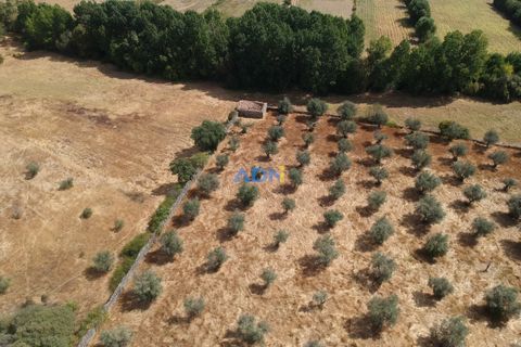 Farm hus i Castelo Branco, Castelo Branco, Castelo Branco - € 27.000 | Ref: 125094 - foto 7