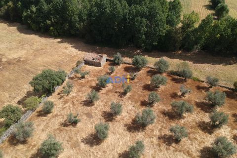 Farm hus i Castelo Branco, Castelo Branco, Castelo Branco - € 27.000 | Ref: 125094 - foto 8