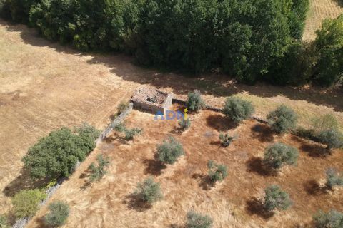 Farm hus i Castelo Branco, Castelo Branco, Castelo Branco - € 27.000 | Ref: 125094 - foto 9