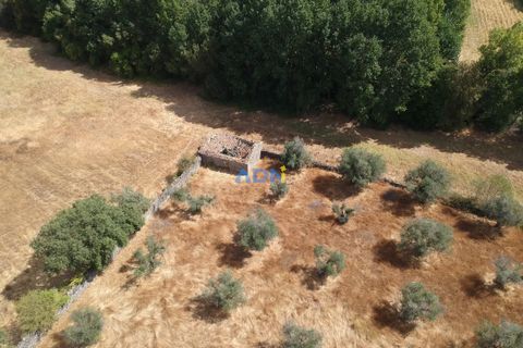 Farm hus i Castelo Branco, Castelo Branco, Castelo Branco - € 27.000 | Ref: 125094 - foto 10