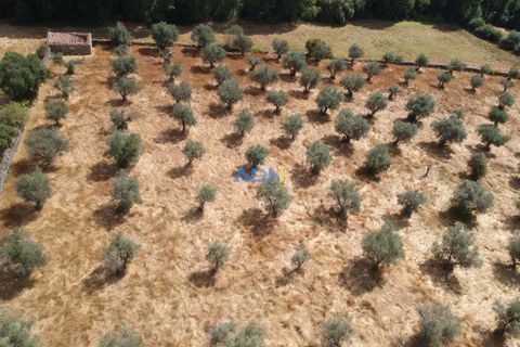 Farm hus i Castelo Branco, Castelo Branco, Castelo Branco - € 27.000 | Ref: 125094 - foto 11
