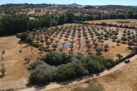 Farm hus i Castelo Branco, Castelo Branco, Castelo Branco - € 27.000 | Ref: 125094 - foto 15
