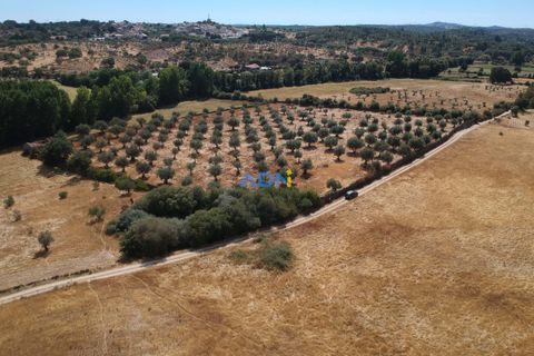 Farm hus i Castelo Branco, Castelo Branco, Castelo Branco - € 27.000 | Ref: 125094 - foto 16