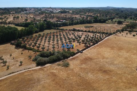 Farm hus i Castelo Branco, Castelo Branco, Castelo Branco - € 27.000 | Ref: 125094 - foto 17