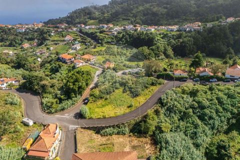Helårsgrund i Santana, Madeira, Santana - € 63.000 | Ref: 123511177-55 - foto 4