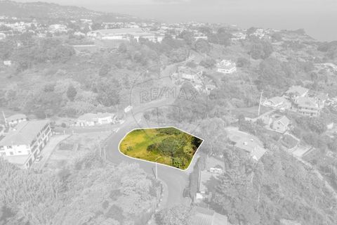 Helårsgrund i Santana, Madeira, Santana - € 63.000 | Ref: 123511177-55 - foto 6