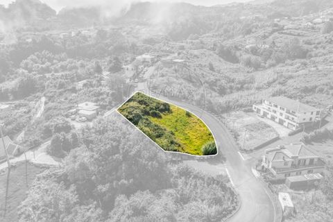 Helårsgrund i Santana, Madeira, Santana - € 63.000 | Ref: 123511177-55 - foto 10